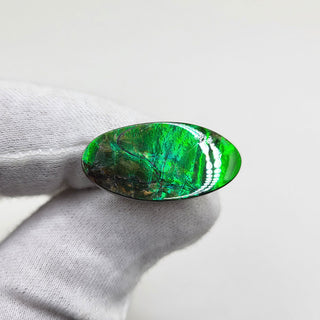 3751124 - Freeform - Oval - (Grade: A / A2)