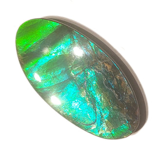 Ammolite Freeform Gemstone - 3751124-A2