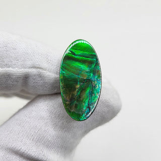 3751124 - Freeform - Oval - (Grade: A / A2)