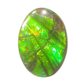 Ammolite Freeform Gemstone - 3771124-A4