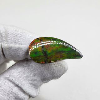 3881124 - Freeform - Sw Pear (Grade: A / A2)