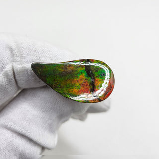 3881124 - Freeform - Sw Pear (Grade: A / A2)