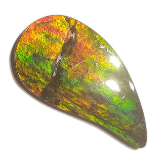 Ammolite Freeform Gemstone - 3881124-A2