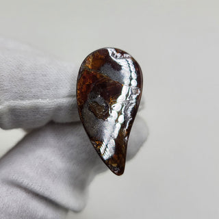 3881124 - Freeform - Sw Pear (Grade: A / A2)