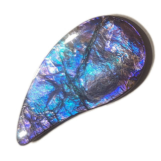 Ammolite Freeform Gemstone - 3901124-A3