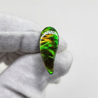3931124 - Freeform - Sw Pear (Grade: A+ / A3)