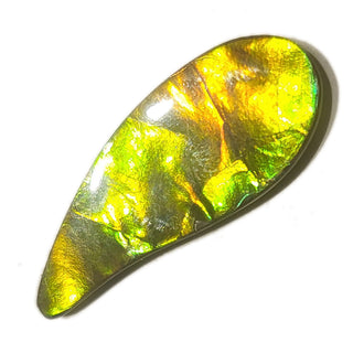 Ammolite Freeform Gemstone - 3931124-A3