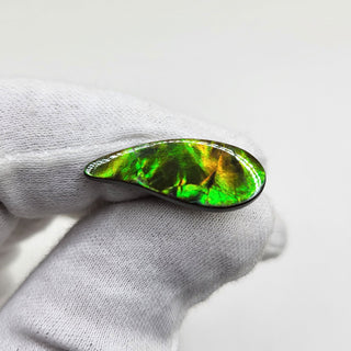 3931124 - Freeform - Sw Pear (Grade: A+ / A3)