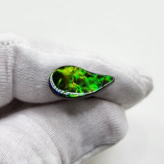 3941124 - Freeform - Sw Pear (Grade: A / A2)