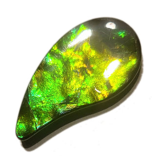 3941124 - Freeform - Sw Pear (Grade: A / A2)