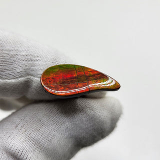 3951124 - Freeform - Sw Pear (Grade: A / A2)