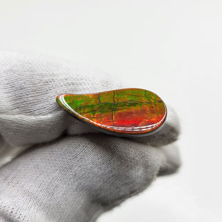 3951124 - Freeform - Sw Pear (Grade: A / A2)