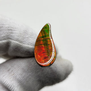 3951124 - Freeform - Sw Pear (Grade: A / A2)