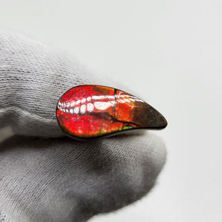 3961124 - Freeform - Sw Pear (Grade: A- / A1)