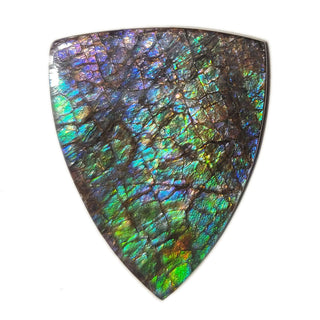 4010125 - Freeform - Shield (Grade: A+ / A3)