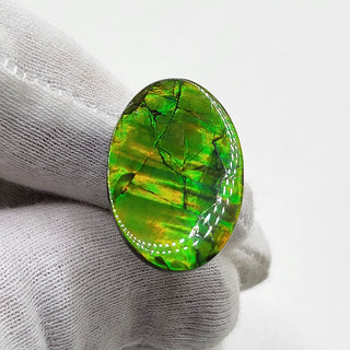 Ammolite Oval Shaped Freeform Loose Gemstone 4020125 - 0 Degrees