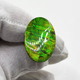 4020125 - Freeform - Oval - (Grade: A / A2)
