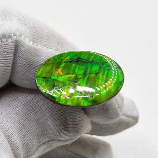 4020125 - Freeform - Oval - (Grade: A / A2)