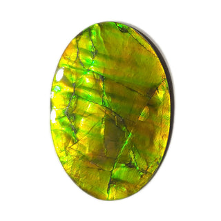 Ammolite Oval Shaped Freeform Loose Gemstone 4020125