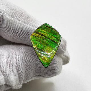 Ammolite Shield Shaped Freeform Loose Gemstone 4030125 - 0 Degrees