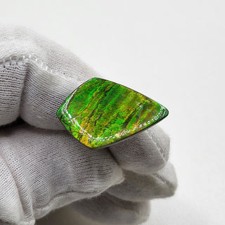 4030125 - Freeform - Shield (Grade: A+ / A3)