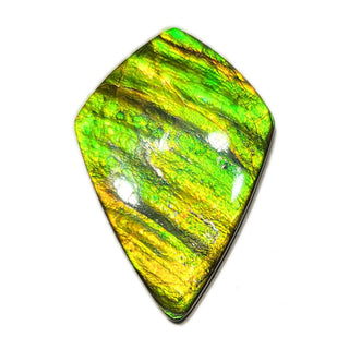 Ammolite Shield Shaped Freeform Loose Gemstone 4030125