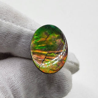 4040125 - Freeform - Oval - (Grade: A / A2)