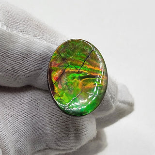 4040125 - Freeform - Oval - (Grade: A / A2)