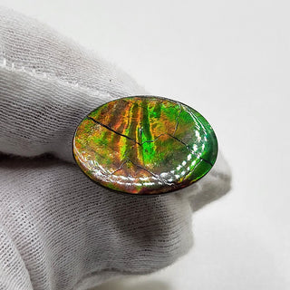 4040125 - Freeform - Oval - (Grade: A / A2)