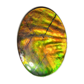 4040125 - Freeform - Oval - (Grade: A / A2)