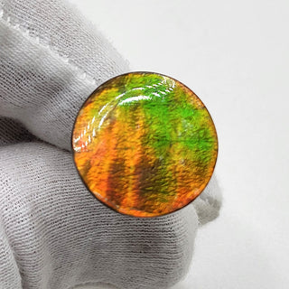 Ammolite Round Shaped,  Freeform,  Loose Gemstone 4070125 - 0 Degrees