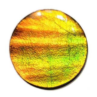 Ammolite Round Shaped,  Freeform,  Loose Gemstone 4070125