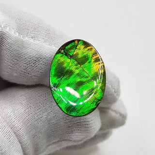 4090125 - Freeform - Oval - (Grade: A / A2)