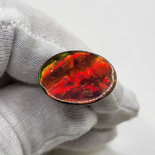 4110125 - Freeform - Oval - (Grade: A / A2)