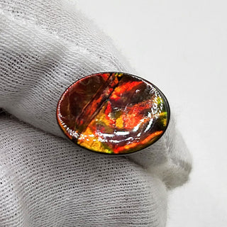 4160125 - Freeform - Oval - (Grade: A / A2)