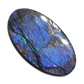 Ammolite Oval Shaped Freeform Loose Gemstone 4200125
