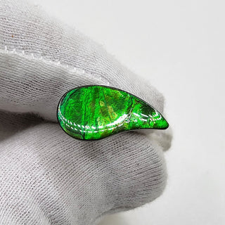 4210125 - Freeform - Sw Pear (Grade: A / A2)