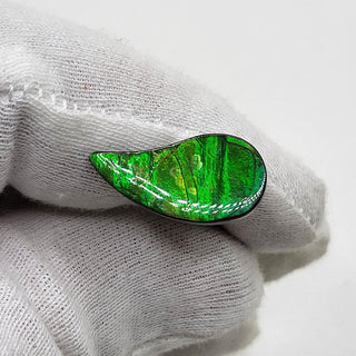 4210125 - Freeform - Sw Pear (Grade: A / A2)