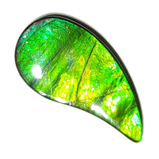 4210125 - Freeform - Sw Pear (Grade: A / A2)