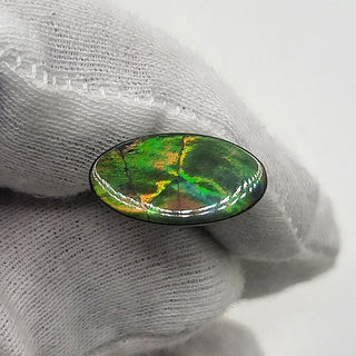 4240125 - Freeform - Oval - (Grade: A+ / A3)