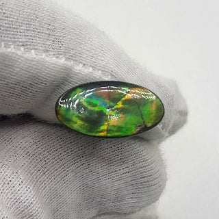 4240125 - Freeform - Oval - (Grade: A+ / A3)