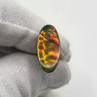 4270125 - Freeform - Oval - (Grade: A+ / A3)