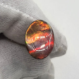 4310125 - Freeform - Oval - (Grade: A / A2)