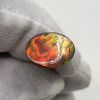 4310125 - Freeform - Oval - (Grade: A / A2)