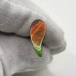 4360125 - Freeform - Sw Pear (Grade: A+ / A3)