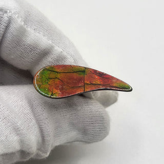 Ammolite Swept Pear Shaped Freeform Loose Gemstone 4380125-0