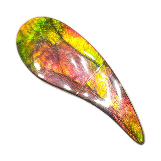 Ammolite Swept Pear Shaped Freeform Loose Gemstone 4380125