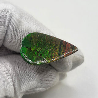 4410125 - Freeform - Pear - (Grade: A / A2)