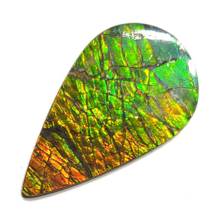 Ammolite Pear Shaped Freeform Loose Gemstone 4410125