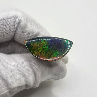 Ammolite Eye Shaped Freeform Loose Gemstone 4430125 - 0 Degrees